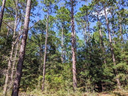Land in Holmes County, Florida
