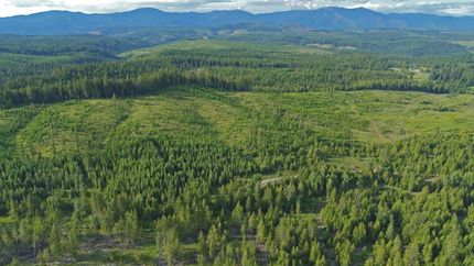 Timberland Property in Benewah County, Idaho