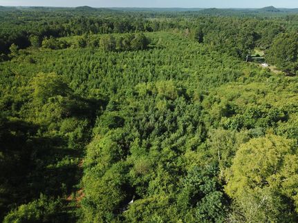 Timberland Property in Polk County, Georgia