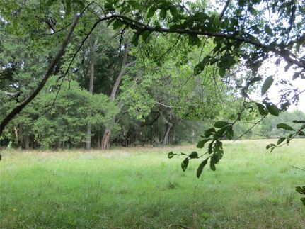 Timberland Property in Colorado County, Texas