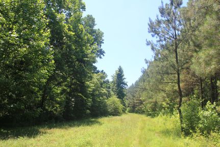 Commercial Property in Marshall County, Mississippi
