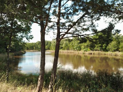 Timberland Property in Grayson County, Texas