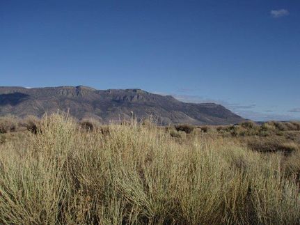 Undeveloped Land in Lake County, Oregon