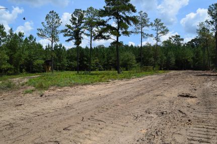 Hunting Property in Peach County, Georgia