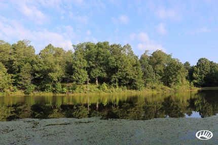 Timberland Property in Yalobusha County, Mississippi