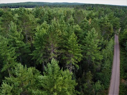 Farm and Ranch in Vilas County, Wisconsin