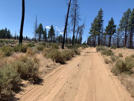 Land in Klamath County, Oregon