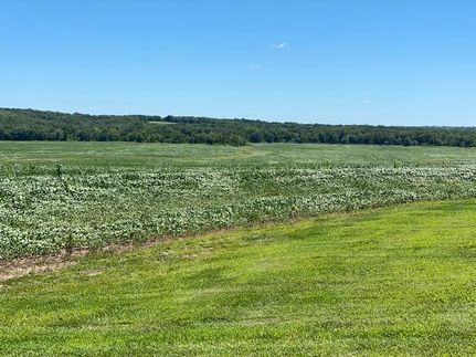 Farm and Ranch in DeKalb County, Missouri