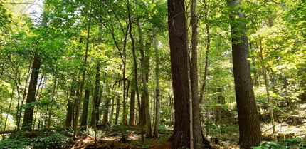 Recreational Property in Mason County, West Virginia