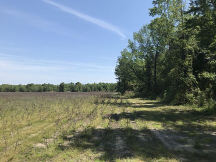 Farm and Ranch in Orangeburg County, South Carolina