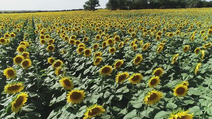 Commercial Property in Hughes County, South Dakota