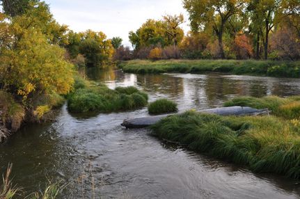 Timberland Property in Sheridan County, Wyoming