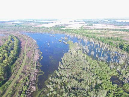 Land in Pulaski County, Arkansas
