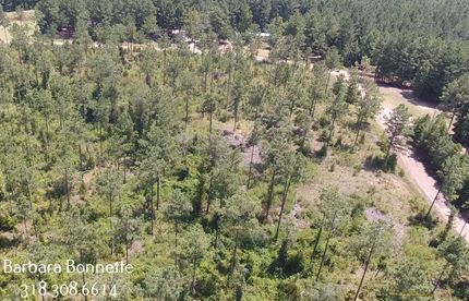 Undeveloped Land in Rapides Parish, Louisiana
