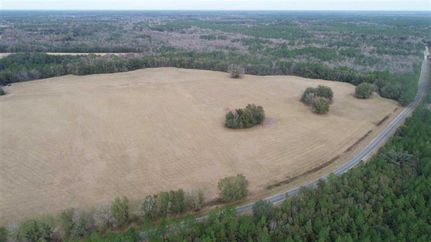 Timberland Property in Brantley County, Georgia