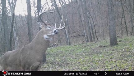 Farm and Ranch in Crawford County, Wisconsin
