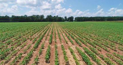 Farm and Ranch in Dooly County, Georgia