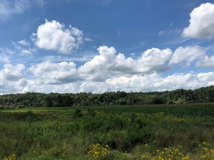 Timberland Property in Hawkins County, Tennessee