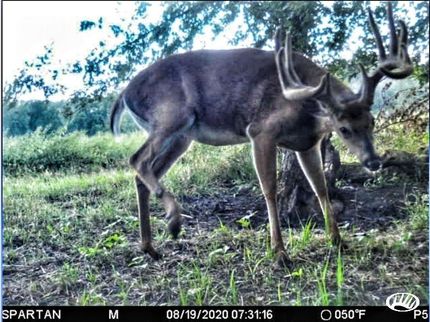 Undeveloped Land in Marshall County, Iowa