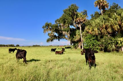 Farm and Ranch in Martin County, Florida