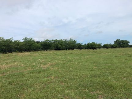Recreational Property in Cass County, Texas