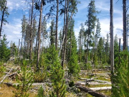 Lakefront Property in Deer Lodge County, Montana