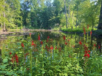 Timberland Property in Sullivan County, Indiana