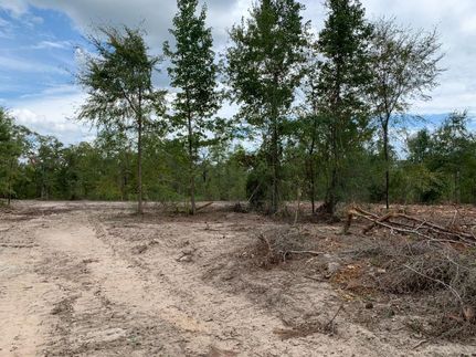 Recreational Property in Polk County, Texas