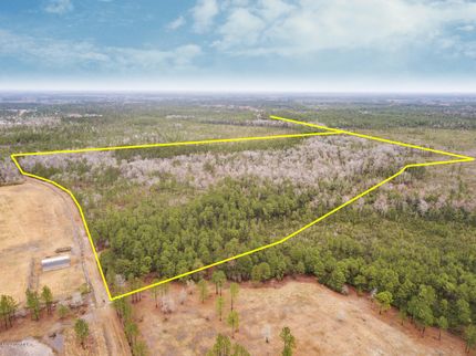 Undeveloped Land in Onslow County, North Carolina