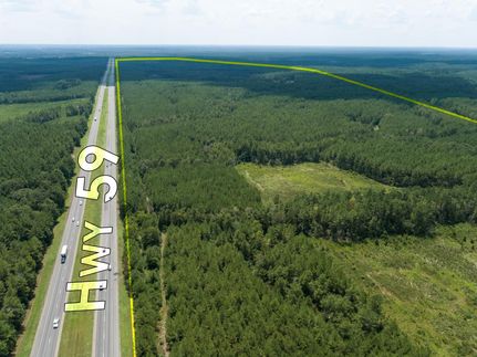 Timberland Property in Polk County, Texas