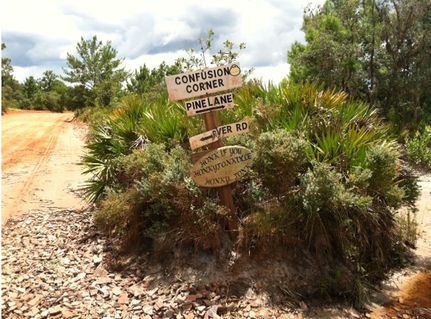 Land for sale in Polk County, Florida