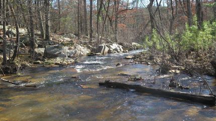 Timberland Property in Pushmataha County, Oklahoma