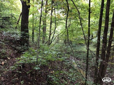 Land in Muskingum County, Ohio