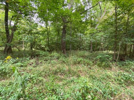 Land in Dallas County, Missouri