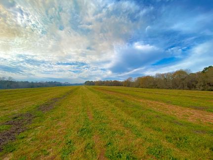 Lakefront Property in Irwin County, Georgia