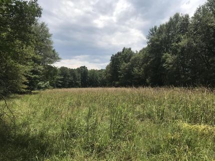 Land in Clay County, Mississippi