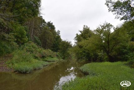 Timberland Property in Monroe County, Ohio