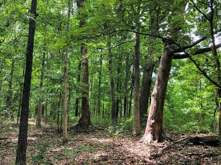 Recreational Property in Barry County, Missouri