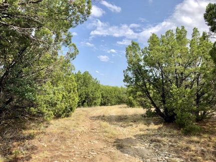 Land in Lampasas County, Texas