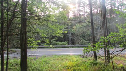 Recreational Property in Sullivan County, New York