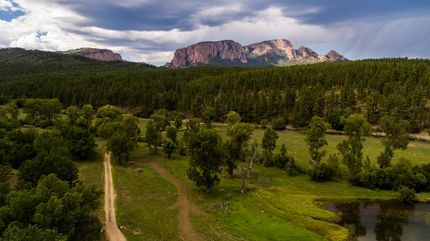 Commercial Property in San Miguel County, New Mexico