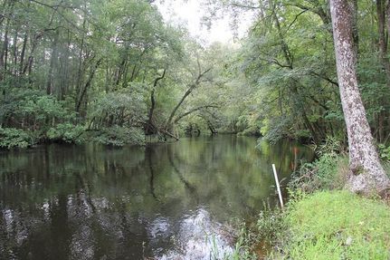 Oceanfront Property in Orangeburg County, South Carolina
