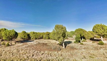 Undeveloped Land in Navajo County, Arizona