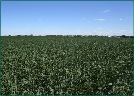 Farm and Ranch in Delaware County, Iowa