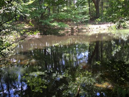 Land in Upshur County, Texas