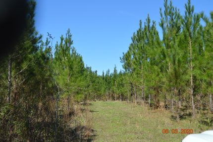 Land in Decatur County, Georgia