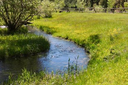 Undeveloped Land in San Miguel County, New Mexico
