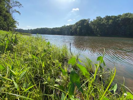 Recreational Property in Madison County, Georgia
