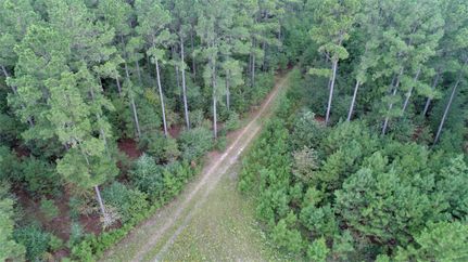 Timberland Property in Houston County, Texas