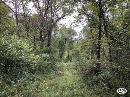 Farm and Ranch in Guernsey County, Ohio